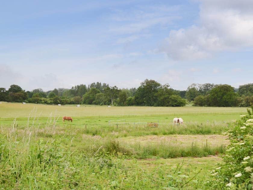 Surrounding area | Eden Cottage, Little Haubois, near Norwich