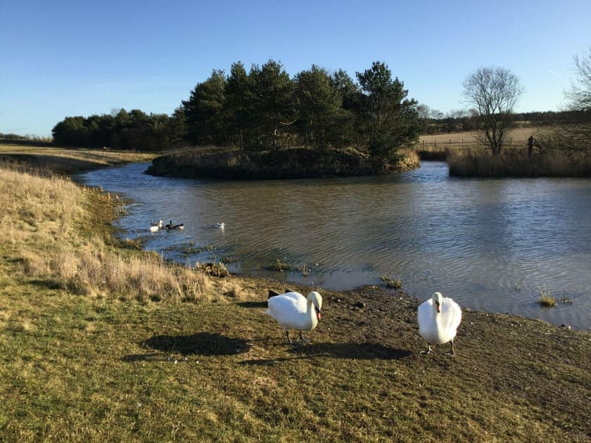 Garden and grounds | Miners Meadow, Wheatley Hill, Durham