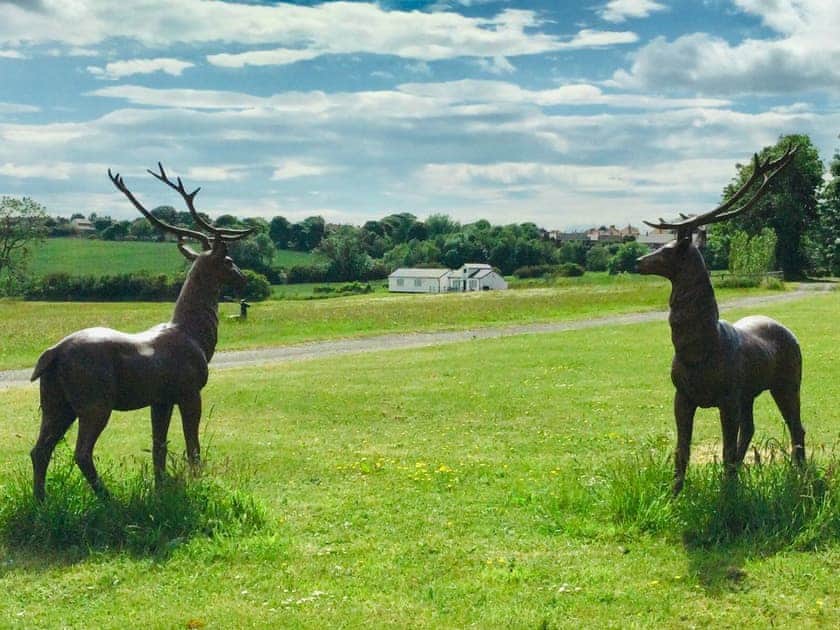 Garden and grounds | Miners Meadow, Wheatley Hill, Durham