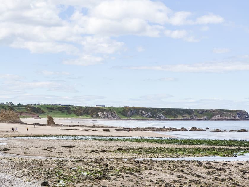 Surrounding area | Needle Cottage, Cullen