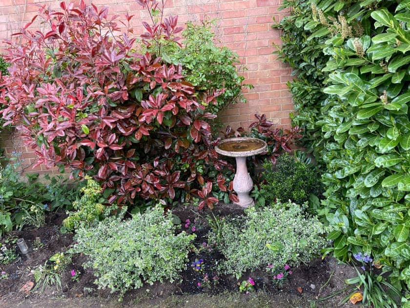 Garden | Walnut Cottage, Sproughton