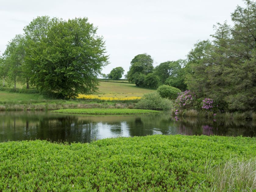 Surrounding area | Gelli-Hir, Tregaron