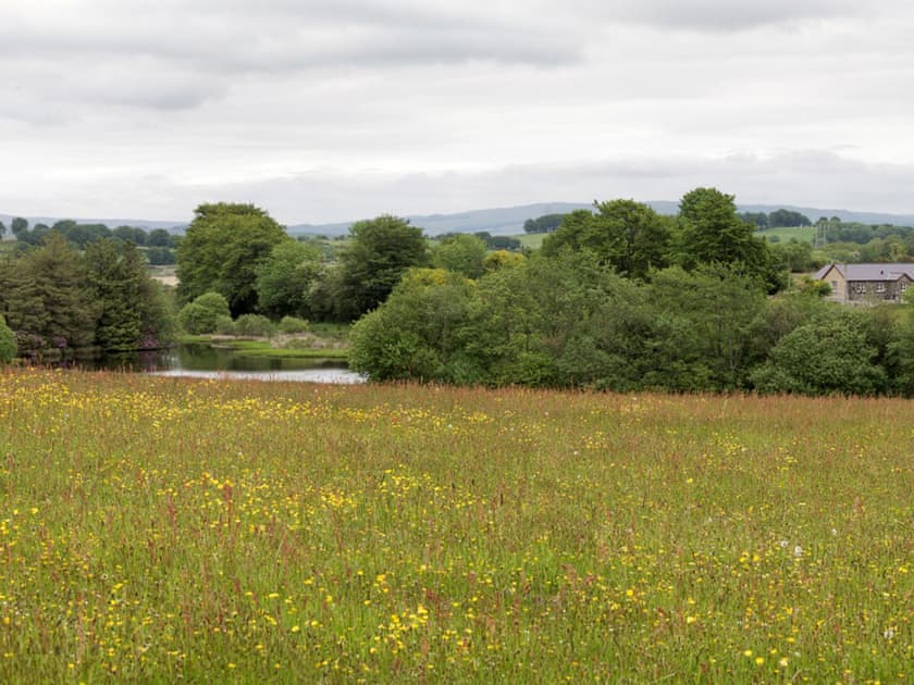 Surrounding area | Gelli-Hir, Tregaron