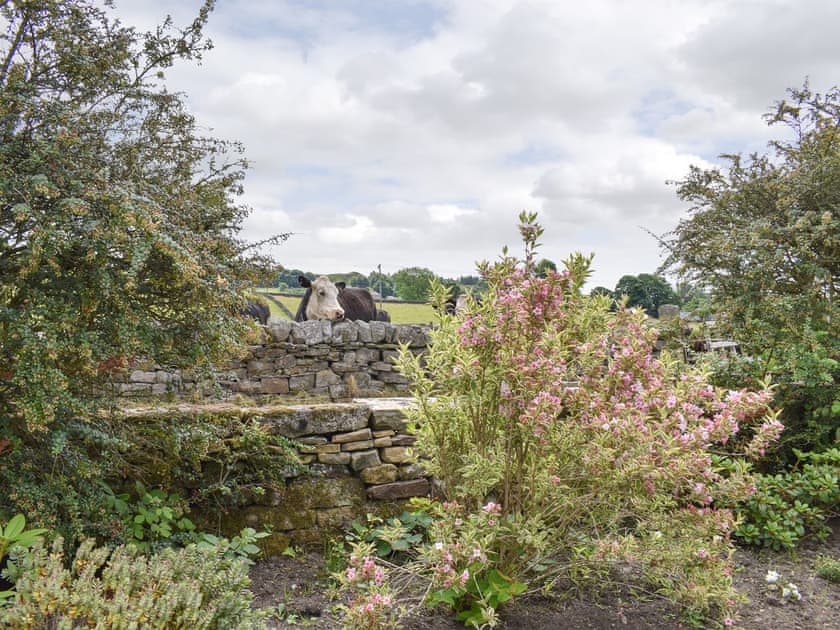 Garden | Higher Kirkstall Wood Farm, Keighley