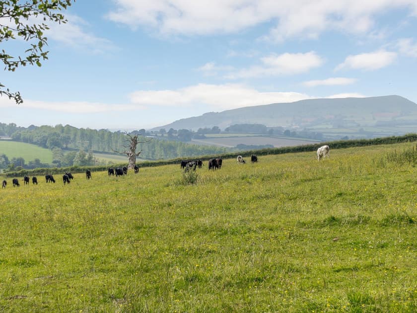 View | The Cwtch, Treadam, near Abergavenny