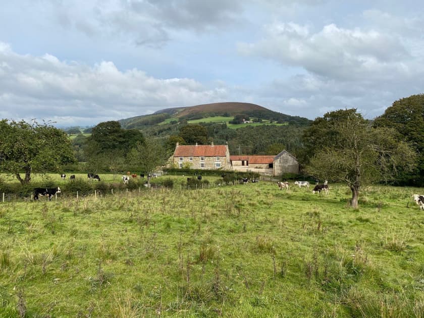 Lovely holiday home in a rural setting | Ristbrow Farm, Hawnby