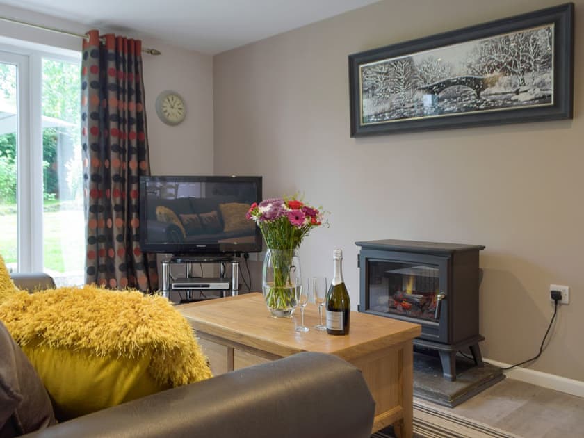 Living area | Llain Cottage, Cross Inn