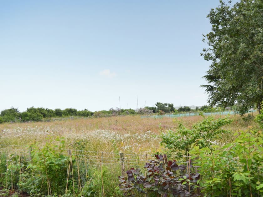 Surrounding area | Gulls Nest, Blakeney