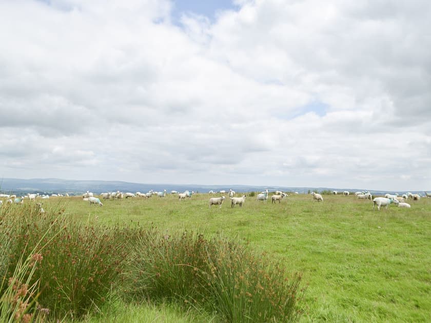 Surrounding area | Typicca Farmhouse, Brechfa