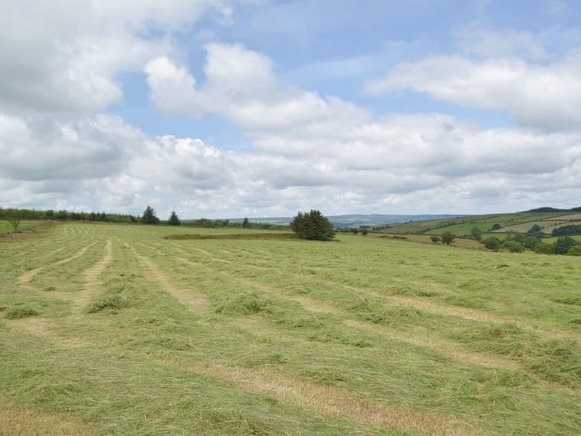 Surrounding area | Typicca Farmhouse, Brechfa