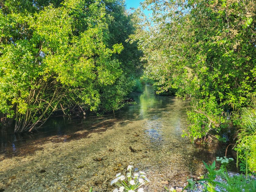 Garden and grounds | Duck Cottage, Winterbourne Dauntsey, near Salisbury