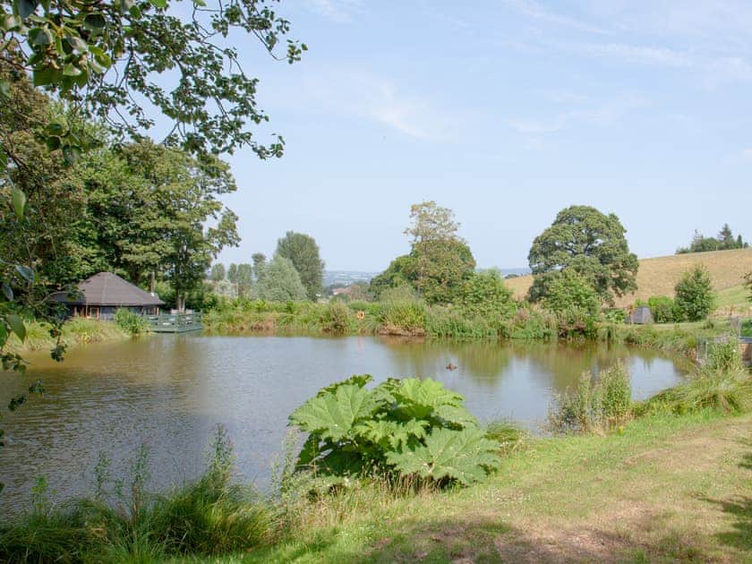 Setting | Coot Roundhouse - Ponsford Ponds, Knowle, near Cullompton