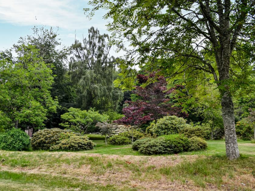 Garden and grounds | Corrennie School Cottage, Sauchen, near Inverurie
