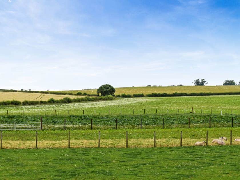 Surrounding area | The End Hoose, Duns