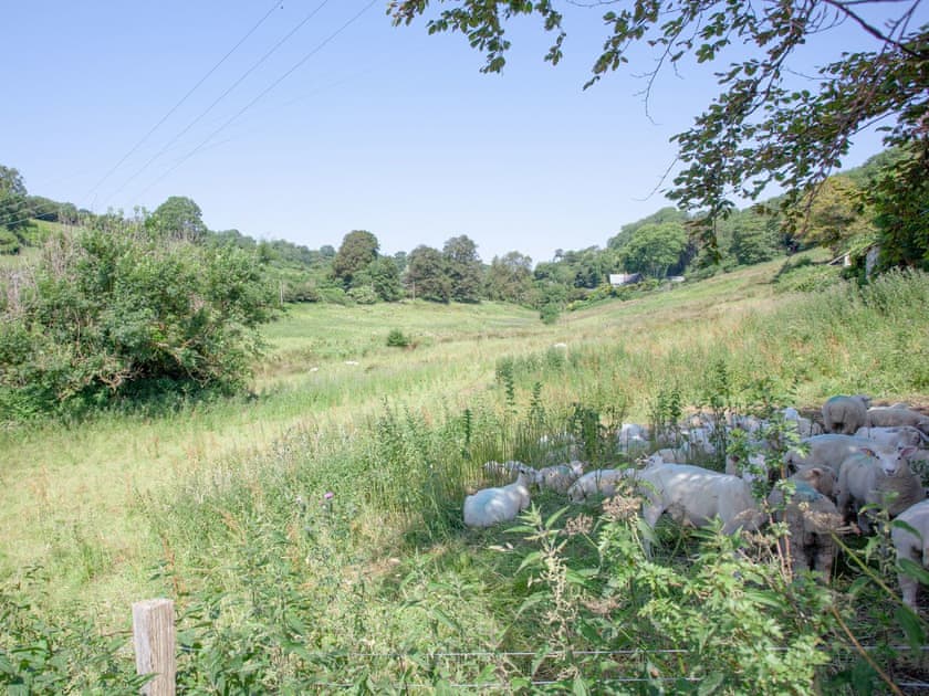 View | The Pink House, Branscombe