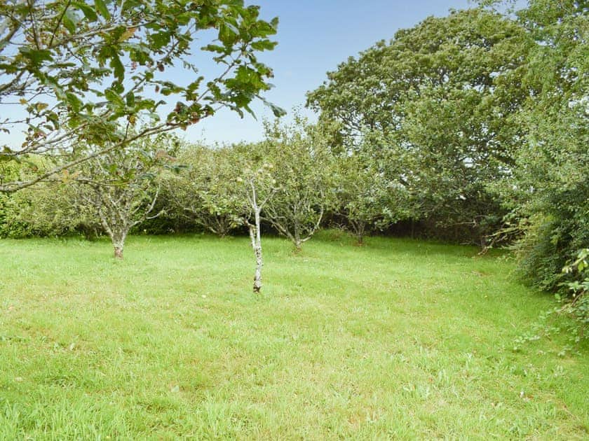 Garden | Tregrannick Barn, Trannack, near Helston