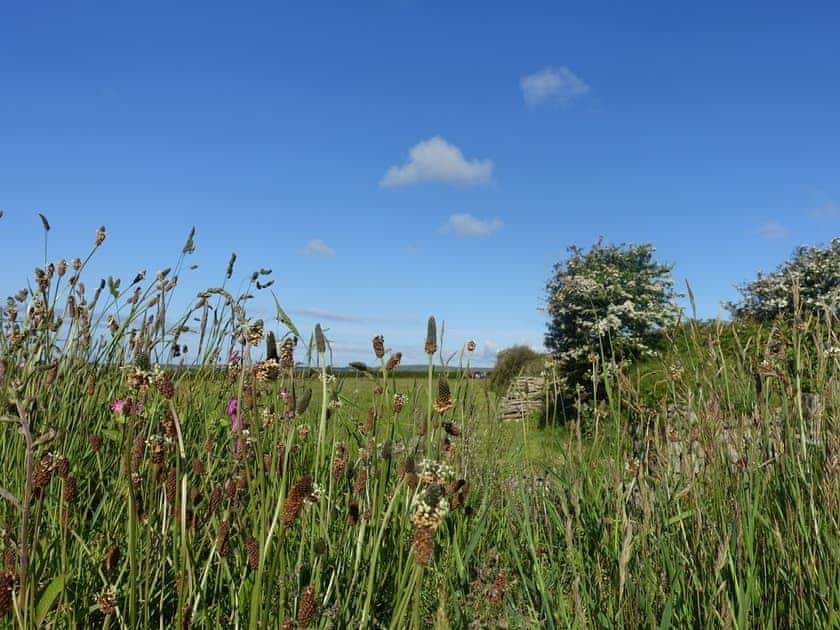 View | Tregrannick Barn, Trannack, near Helston
