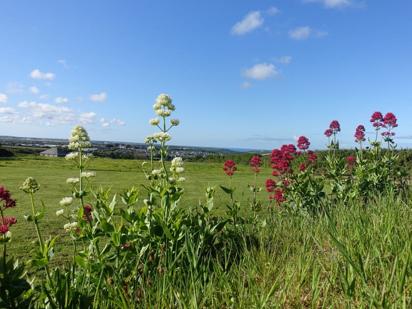 View | Tregrannick Barn, Trannack, near Helston