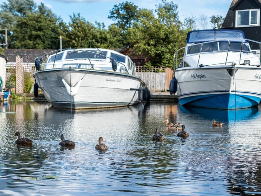 Surrounding area | The Reeds, Wroxham