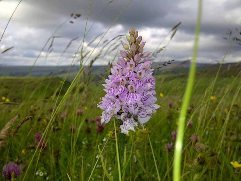 Surrounding area | The Hayloft, Glossop