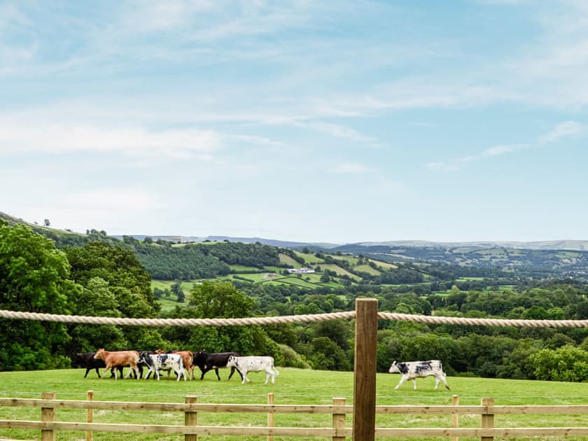 View | Mountain View - Bwlchmaenllwyd Farm Holiday, Cilycwm, near Llandovery
