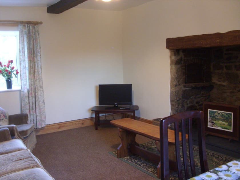 Living area | Daisy Cottage - East Hook Holiday Cottages, Okehampton