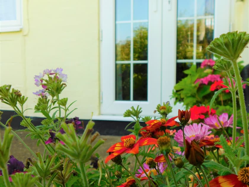 Garden | Greenbank Cottage, Ten Mile Bank, near Downham Market
