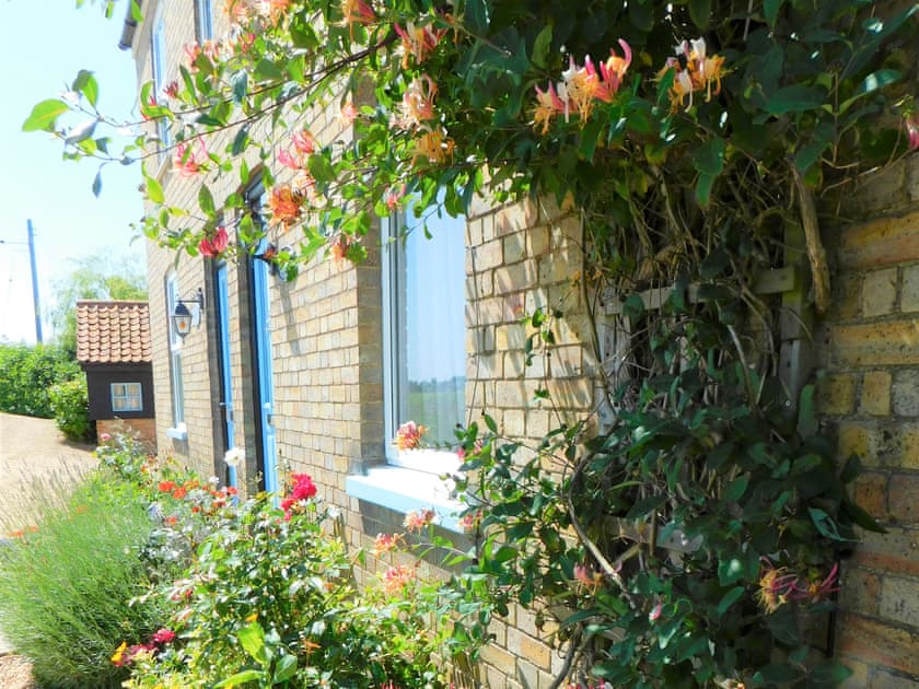 Exterior | Greenbank Cottage, Ten Mile Bank, near Downham Market