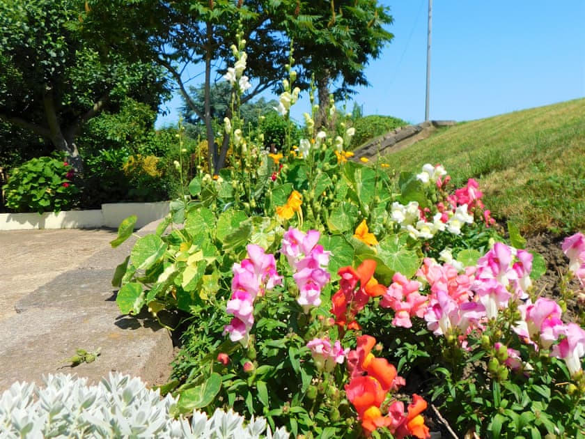 Garden | Greenbank Cottage, Ten Mile Bank, near Downham Market