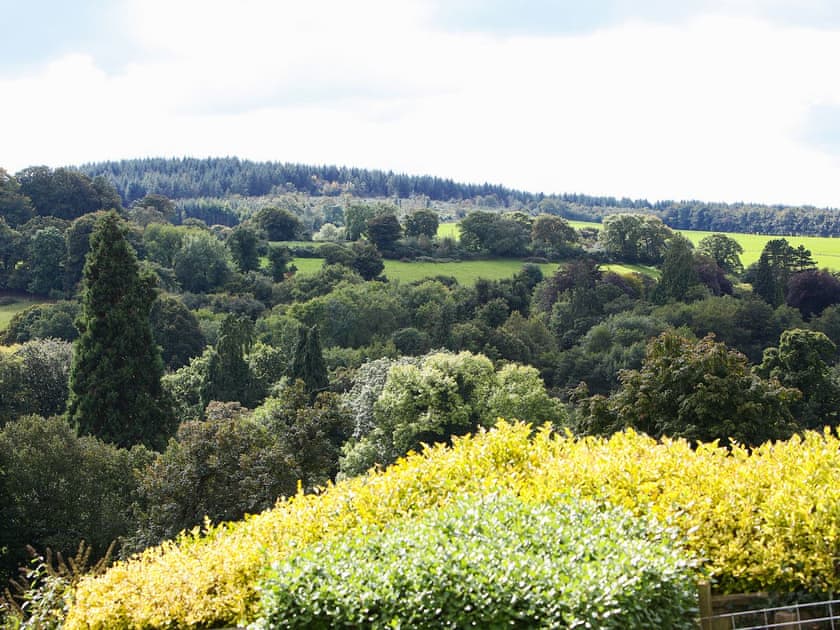 View | Scenery Cottage, Bridford