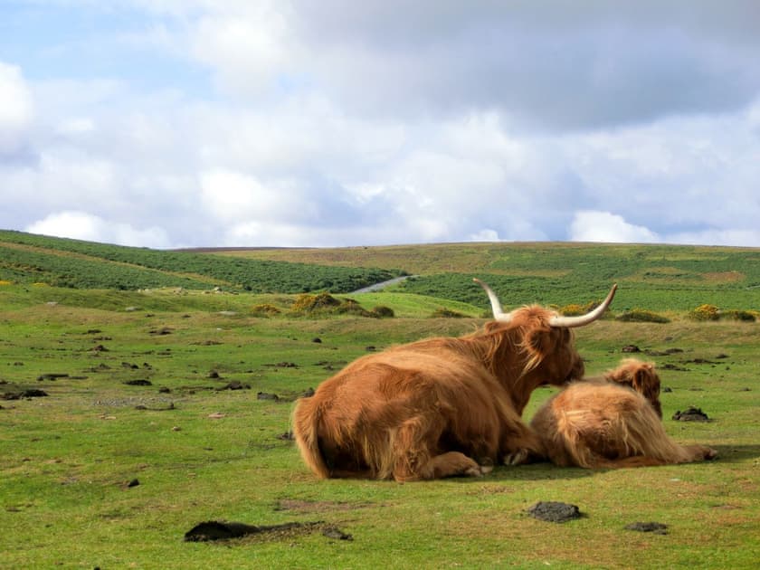 Surrounding area | Scenery Cottage, Bridford