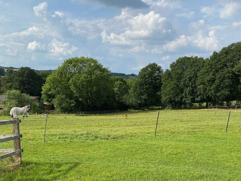 Surrounding area | Oakleigh, Holymoorside