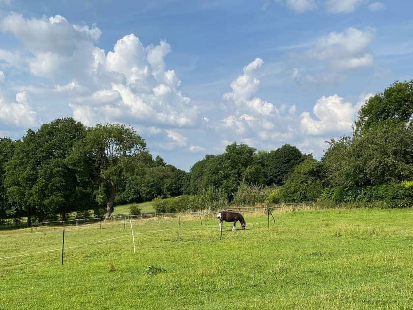 Surrounding area | Oakleigh, Holymoorside