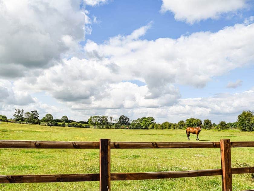 Surrounding area | Pheasant Lodge - Coplow Cabins, Billesdon, near Leicester