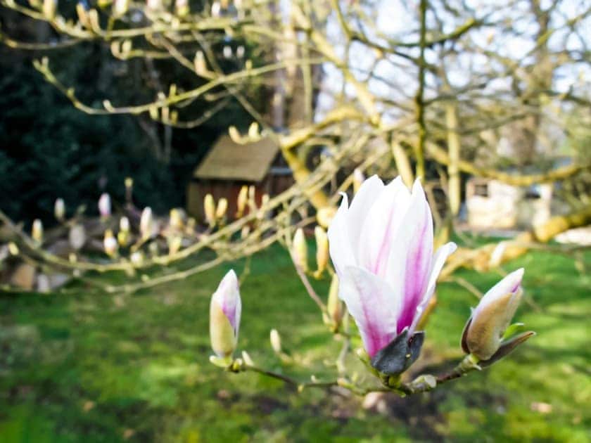Appletree Cottage, Peasmarsh
