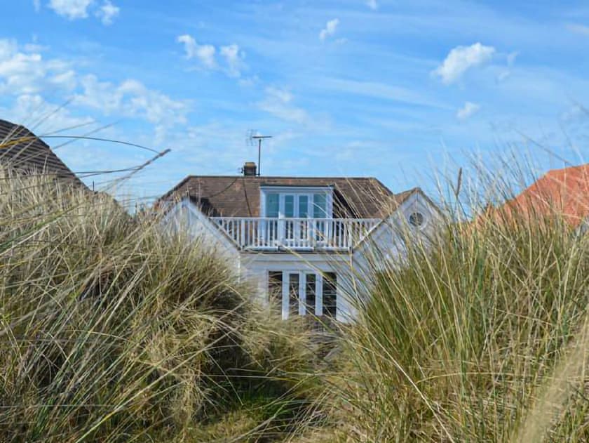 is greatstone beach dog friendly