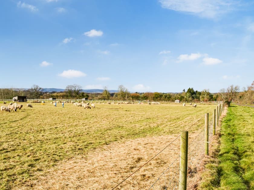 Churchfield Stables, West Chiltington