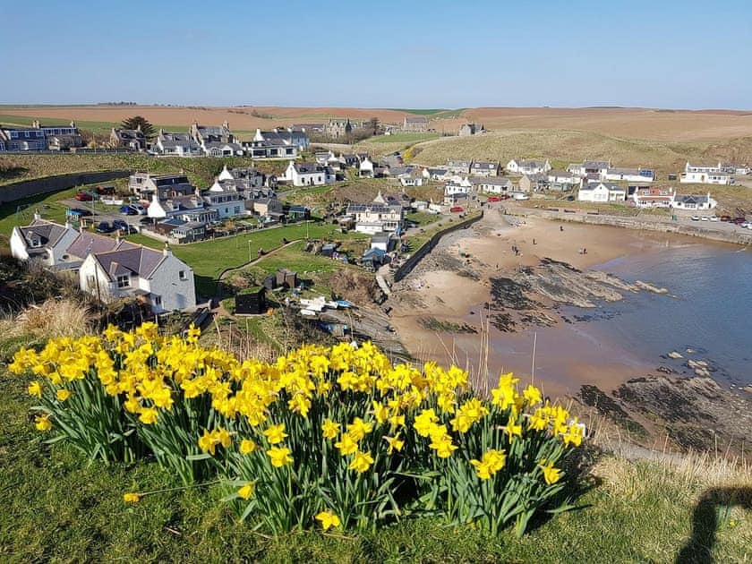 Surrounding area | Forvie View, Collieston