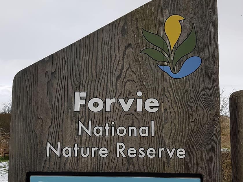 Surrounding area | Forvie View, Collieston