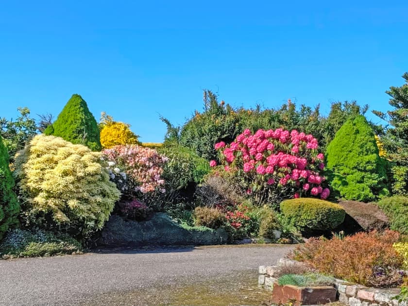 Garden view from the sunroom | Sauchenshaw Cottage, Stonehaven