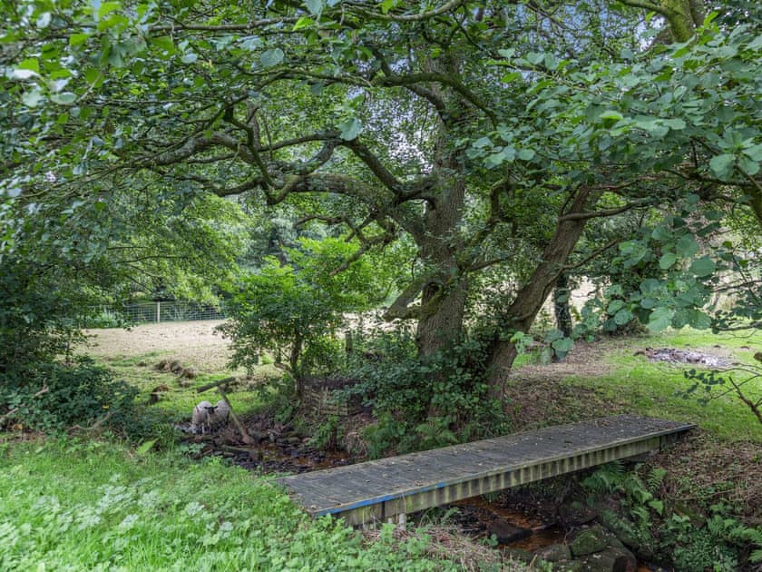 Garden and grounds | Catmint Cottage, Lea, near Matlock