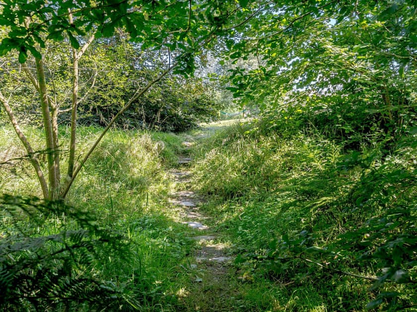 Garden and grounds | Wellstone Cottages, Llanfyrnach