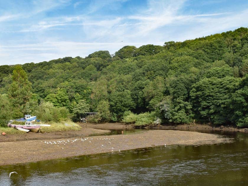 Surrounding area | Quackers, Whitby