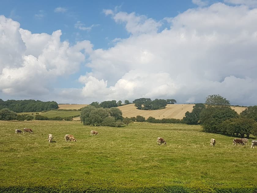 View | The Mansion Cottage, Little London, near Tetford