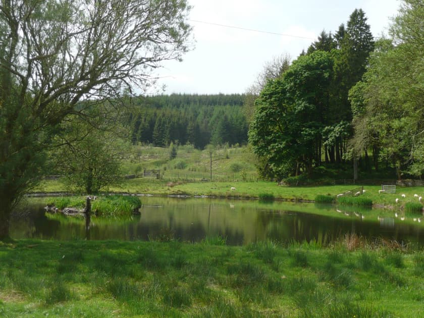 Surrounding area | South Cottage - Howpasley Farm, Howpasley, near Hawick