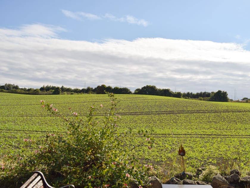 View | Dothan Farm Cottages, Cluny, near Kirkcaldy
