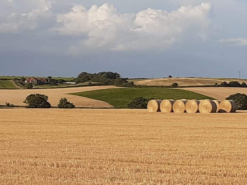 Surrounding area | The Tack Room, Gimingham