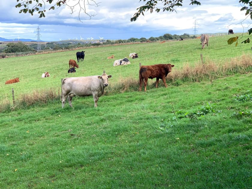 View | Meadow View, Lochgelly