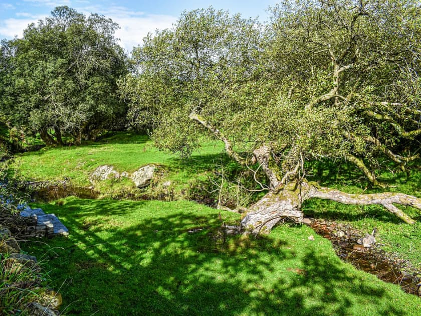 Surrounding area | Nant Y Crogwyn, Penmachno