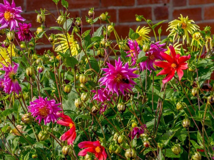 Garden | Sea Fever, Scarborough